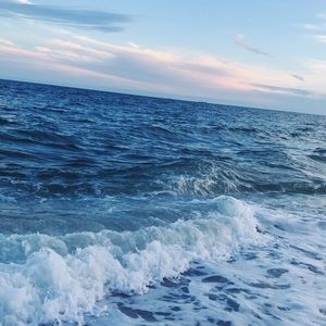 Meet your Posher, Diana